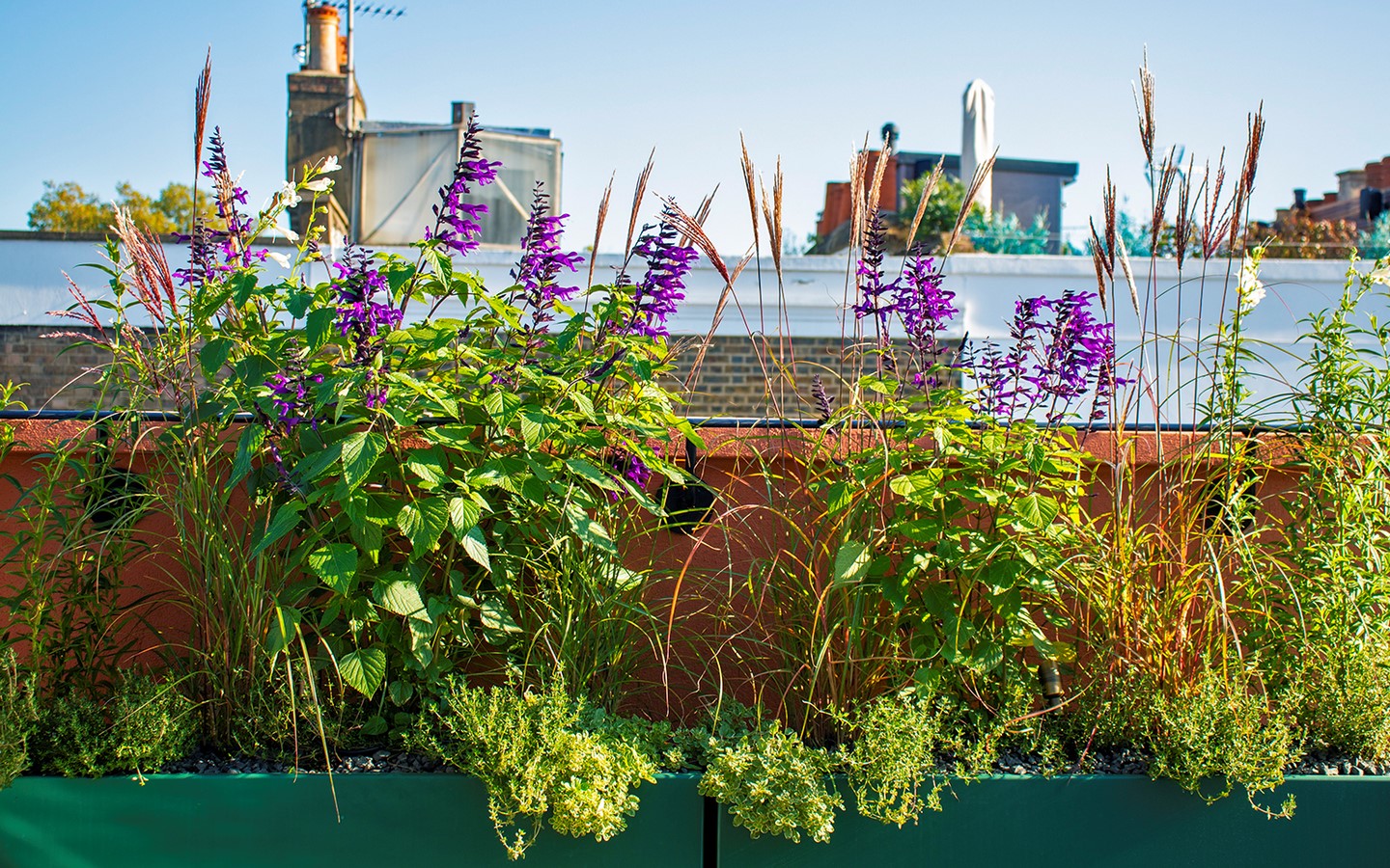 Holland Park Roof Garden by Mylandscapes LTD-Sheet5