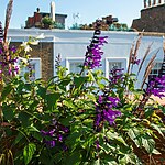 Holland Park Roof Garden by Mylandscapes LTD-Sheet7
