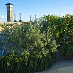 Chelsea Roof Garden by Mylandscapes LTD-Sheet1