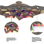 Alisher Navoi International Scientific Research Centre by Zaha Hadid Architects-Sheet8