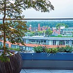 Pimlico Roof Garden by Mylandscapes LTD-Sheet1