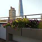 London Bridge Roof Garden by Mylandscapes LTD-Sheet7