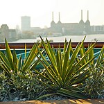 Vauxhall Roof Garden by Mylandscapes LTD-Sheet4