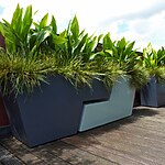 St Paul’s Roof Garden by Mylandscapes LTD-Sheet3