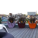 London Fields Roof Garden by Mylandscapes LTD-Sheet1