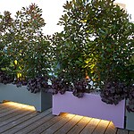 London Fields Roof Garden by Mylandscapes LTD-Sheet3