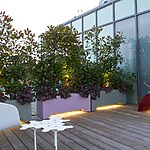 London Fields Roof Garden by Mylandscapes LTD-Sheet4