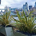 Tempus Wharf Roof Garden by Mylandscapes LTD-Sheet2