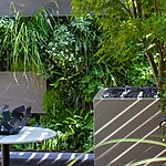 Green Wall Courtyard by Mylandscapes LTD-Sheet1