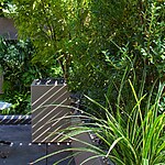 Green Wall Courtyard by Mylandscapes LTD-Sheet3
