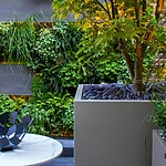 Green Wall Courtyard by Mylandscapes LTD-Sheet6