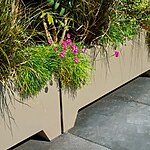 Green Wall Courtyard by Mylandscapes LTD-Sheet7