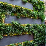 Green Wall Courtyard by Mylandscapes LTD-Sheet8