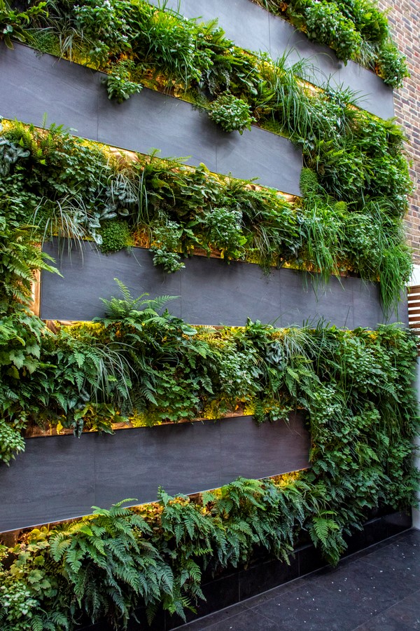 Green Wall Courtyard by Mylandscapes LTD-Sheet8