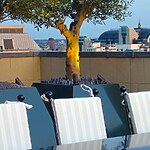 Covent Garden Rooftop Garden by Mylandscapes LTD-Sheet6