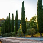 Tuscany Modern Country Garden by Mylandscapes LTD-Sheet1