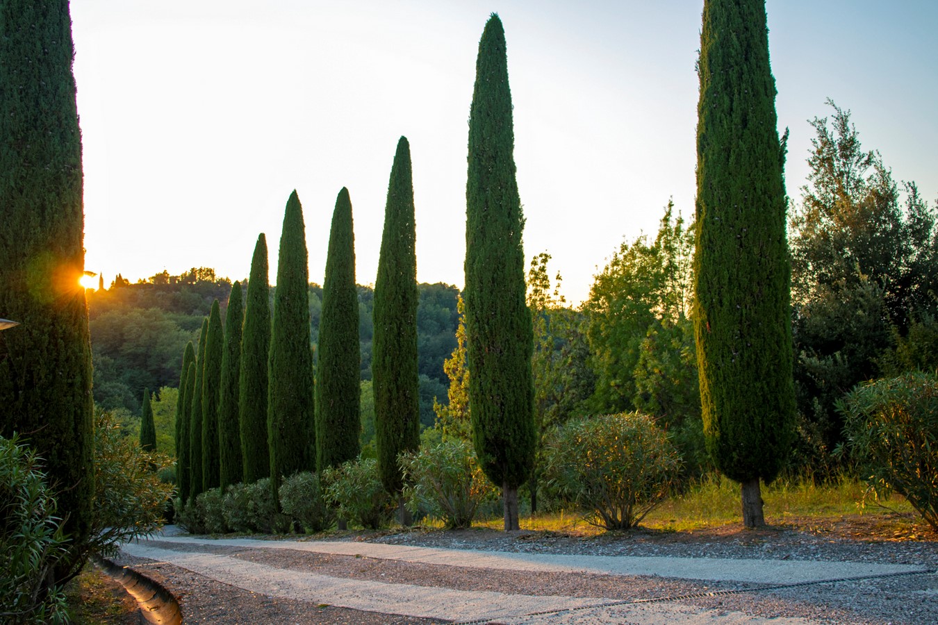 Tuscany Modern Country Garden by Mylandscapes LTD-Sheet1