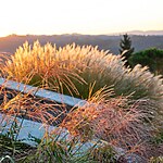 Tuscany Modern Country Garden by Mylandscapes LTD-Sheet2