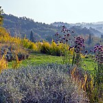 Tuscany Modern Country Garden by Mylandscapes LTD-Sheet6