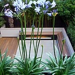 Primrose Hill Garden by Mylandscapes LTD-Sheet1