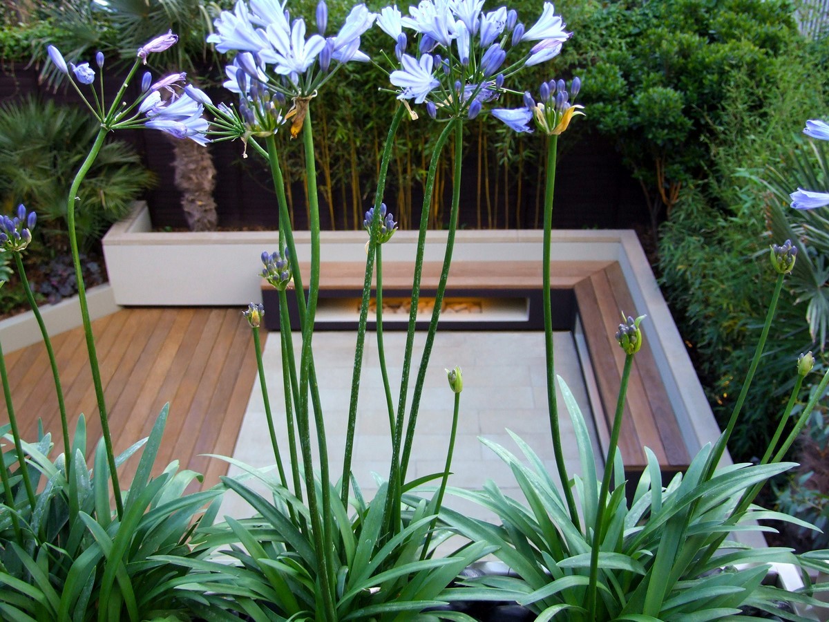 Primrose Hill Garden by Mylandscapes LTD-Sheet1