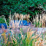 Whetstone Native Landscape Garden by Mylandscapes LTD-Sheet1