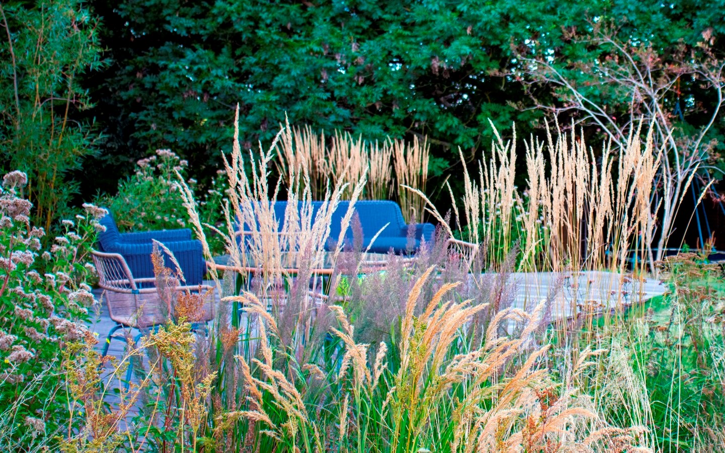 Whetstone Native Landscape Garden by Mylandscapes LTD-Sheet1