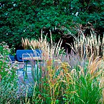 Whetstone Native Landscape Garden by Mylandscapes LTD-Sheet6