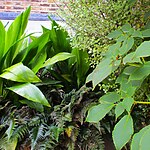 Brondesbury Architectural Courtyard by Mylandscapes LTD-Sheet3
