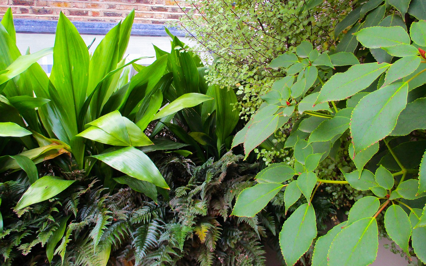 Brondesbury Architectural Courtyard by Mylandscapes LTD-Sheet3