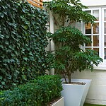 Marylebone Topiary Courtyard by Mylandscapes LTD-Sheet3