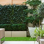 Marylebone Topiary Courtyard by Mylandscapes LTD-Sheet5