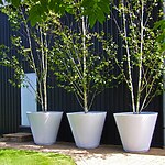 Debden Country Garden by Mylandscapes LTD-Sheet3