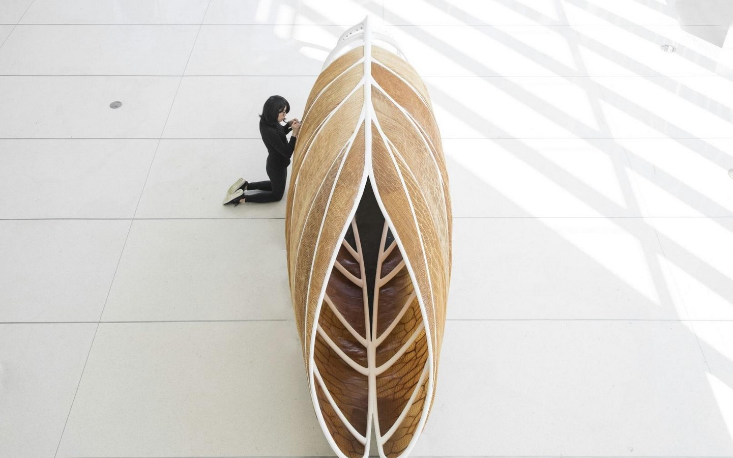 Exploring the Concept of Material Ecology, in Neri Oxman’s World-Sheet5