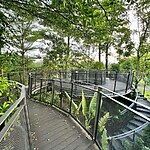 The Essential Role of Outdoor Play Spaces in a Child's World-Sheet3