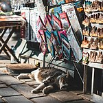 How to plan a perfect immersive trip (How to experience Travel, art and culture)-Sheet11