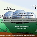 Floating Cities and Biodiversity-Sheet3