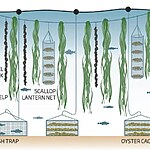 Floating Cities and Biodiversity-Sheet6