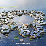 Floating Cities and Biodiversity-Sheet7