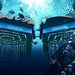 Floating Cities and Biodiversity-Sheet8