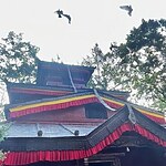 Kalika Bhagwati Temple, Nepal-Sheet3