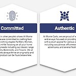 Building Brands Monte Carlo-Sheet3