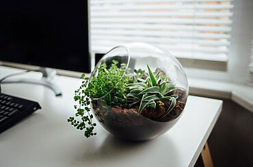 Get Started: How To Design An Office With Sustainability In Mind