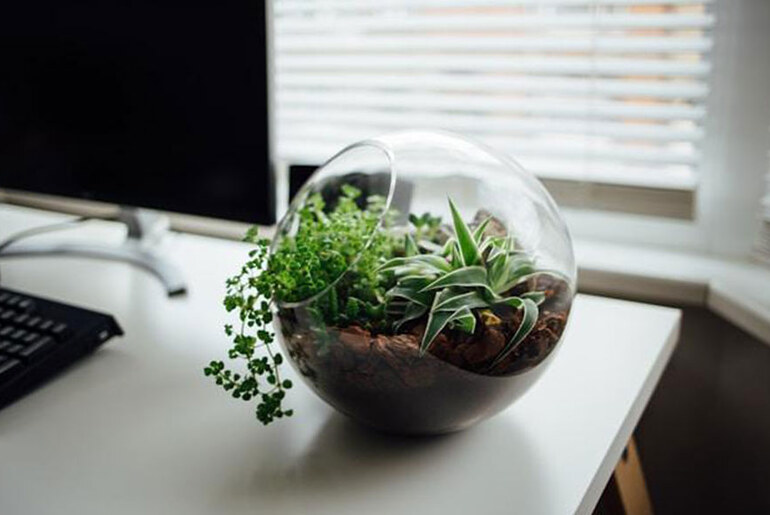 Get Started: How To Design An Office With Sustainability In Mind