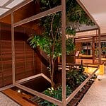 The importance of indoor green spaces by Ds2 Architecture-Sheet2