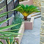 Dorset Courtyard Garden by Mylandscapes LTD-Sheet1
