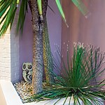 Dorset Courtyard Garden by Mylandscapes LTD-Sheet6