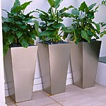 ROOF TERRACE WITH THREE METAL CONTAINERS PLANTED WITH ZANTEDESCHIA AETHIOPICA. DESIGNER: AMIR SCHLEZINGER/ MY LANDSCAPES-Sheet1
