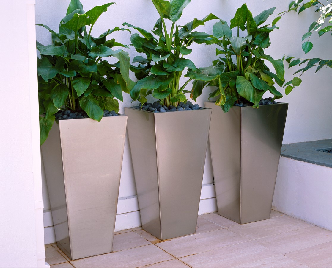ROOF TERRACE WITH THREE METAL CONTAINERS PLANTED WITH ZANTEDESCHIA AETHIOPICA. DESIGNER: AMIR SCHLEZINGER/ MY LANDSCAPES-Sheet1