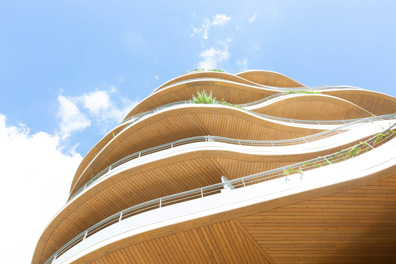 Arborescence by WY-TO architects-Sheet2